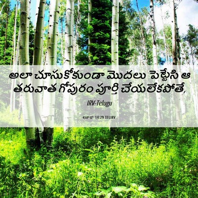 Picture 06 - లూకా 14:29 TELIRV - అలా చూసుకోకుండా - Bible Verse Picture