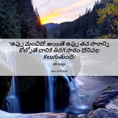 Picture 06 - లూకా 14:34 TELIRV - “ఉప్పు మంచిదే. - Bible Verse Picture