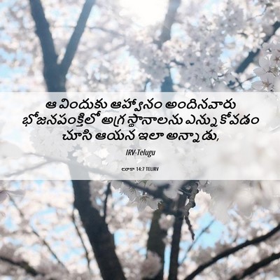 Picture 06 - లూకా 14:7 TELIRV - ఆ విందుకు ఆహ్వానం - Bible Verse Picture
