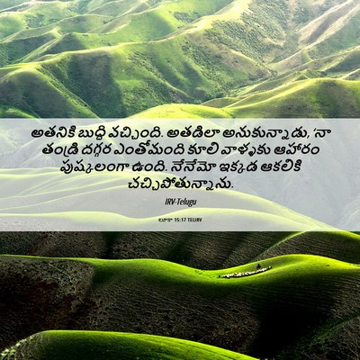 Picture 06 - లూకా 15:17 TELIRV - అతనికి బుద్ధి - Bible Verse Picture