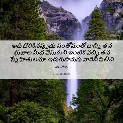 Picture 06 - లూకా 15:5 TELIRV - అది దొరికినప్పుడు - Bible Verse Picture