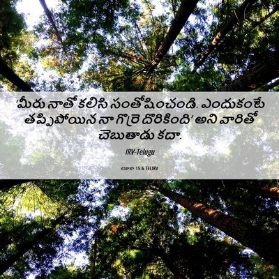 Picture 06 - లూకా 15:6 TELIRV - ‘మీరు నాతో కలిసి - Bible Verse Picture