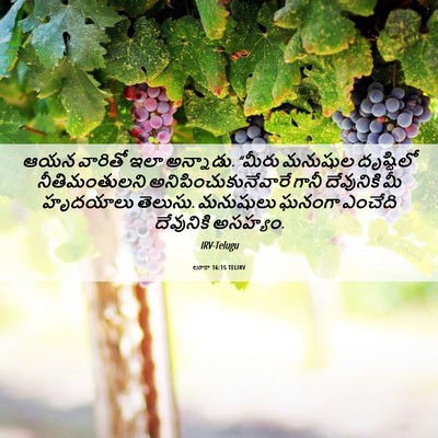 Picture 06 - లూకా 16:15 TELIRV - ఆయన వారితో ఇలా - Bible Verse Picture