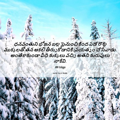 Picture 06 - లూకా 16:21 TELIRV - ధనవంతుని భోజన - Bible Verse Picture