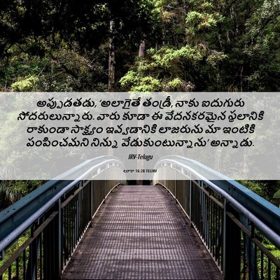 Picture 06 - లూకా 16:28 TELIRV - అప్పుడతడు, - Bible Verse Picture