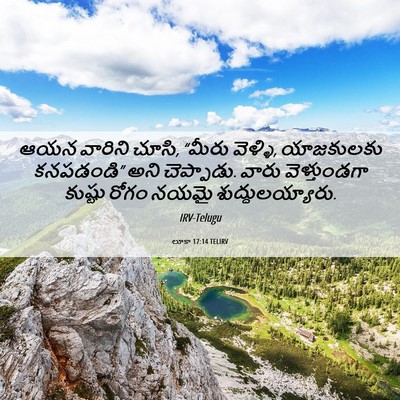 Picture 06 - లూకా 17:14 TELIRV - ఆయన వారిని చూసి, - Bible Verse Picture
