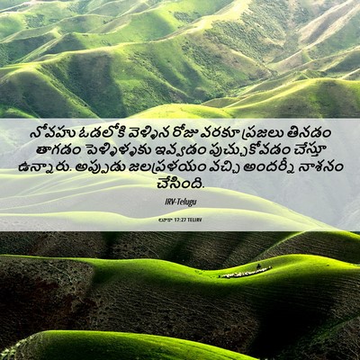 Picture 06 - లూకా 17:27 TELIRV - నోవహు ఓడలోకి - Bible Verse Picture