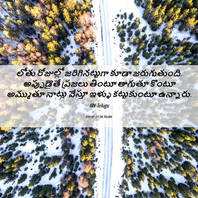 Picture 06 - లూకా 17:28 TELIRV - లోతు రోజుల్లో - Bible Verse Picture