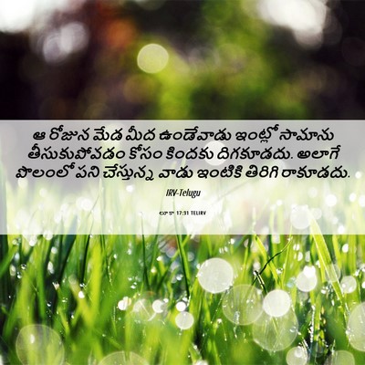 Picture 06 - లూకా 17:31 TELIRV - ఆ రోజున మేడ మీద - Bible Verse Picture