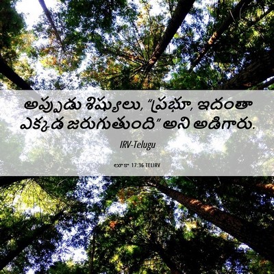Picture 06 - లూకా 17:36 TELIRV - అప్పుడు శిష్యులు, - Bible Verse Picture