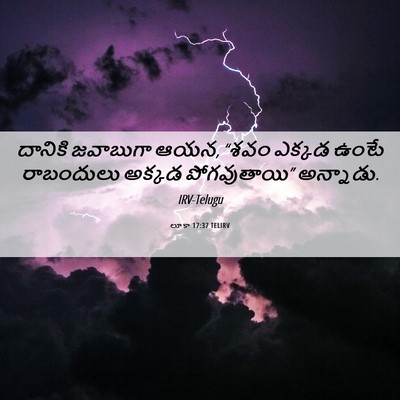 Picture 06 - లూకా 17:37 TELIRV - దానికి జవాబుగా - Bible Verse Picture