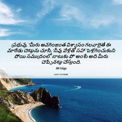 Picture 06 - లూకా 17:6 TELIRV - ప్రభువు, “మీరు - Bible Verse Picture