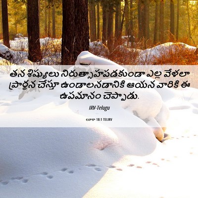 Picture 06 - లూకా 18:1 TELIRV - తన శిష్యులు - Bible Verse Picture