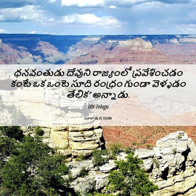 Picture 06 - లూకా 18:25 TELIRV - ధనవంతుడు దేవుని - Bible Verse Picture