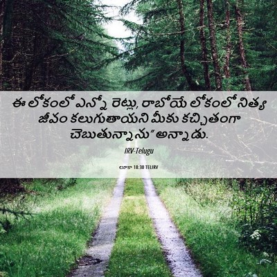 Picture 06 - లూకా 18:30 TELIRV - ఈ లోకంలో ఎన్నో - Bible Verse Picture