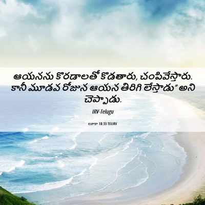 Picture 06 - లూకా 18:33 TELIRV - ఆయనను కొరడాలతో - Bible Verse Picture