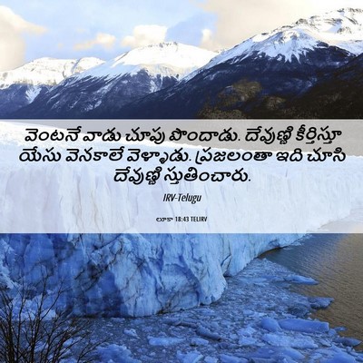 Picture 06 - లూకా 18:43 TELIRV - వెంటనే వాడు చూపు - Bible Verse Picture