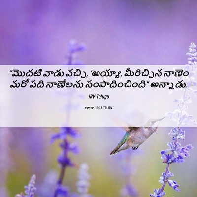Picture 06 - లూకా 19:16 TELIRV - “మొదటి వాడు వచ్చి, - Bible Verse Picture
