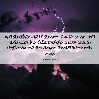 Picture 06 - లూకా 19:3 TELIRV - ఇతడు యేసు ఎవరో - Bible Verse Picture