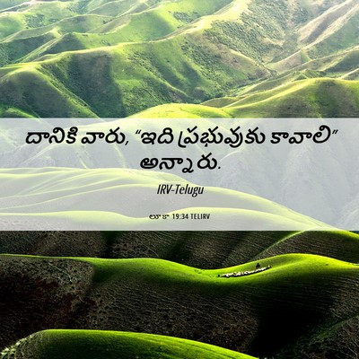 Picture 06 - లూకా 19:34 TELIRV - దానికి వారు, “ఇది - Bible Verse Picture