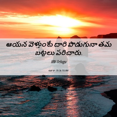 Picture 06 - లూకా 19:36 TELIRV - ఆయన వెళ్తుంటే - Bible Verse Picture
