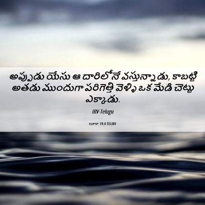 Picture 06 - లూకా 19:4 TELIRV - అప్పుడు యేసు ఆ - Bible Verse Picture