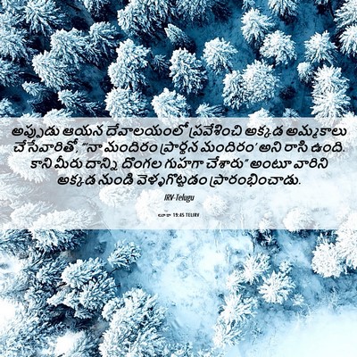 Picture 06 - లూకా 19:45 TELIRV - అప్పుడు ఆయన - Bible Verse Picture