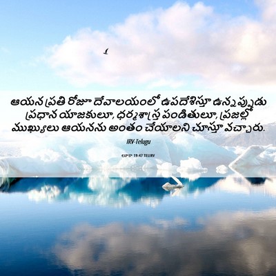 Picture 06 - లూకా 19:47 TELIRV - ఆయన ప్రతి రోజూ - Bible Verse Picture