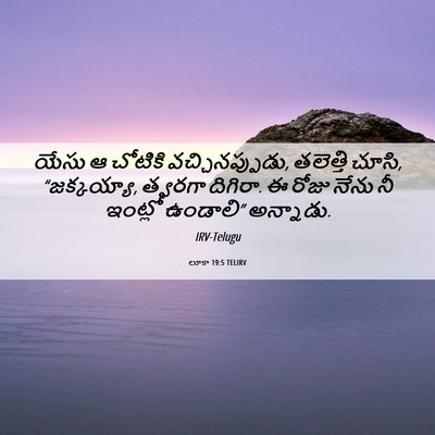 Picture 06 - లూకా 19:5 TELIRV - యేసు ఆ చోటికి - Bible Verse Picture