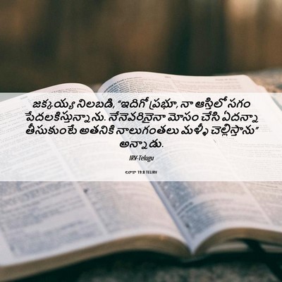 Picture 06 - లూకా 19:8 TELIRV - జక్కయ్య నిలబడి, - Bible Verse Picture