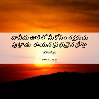 Picture 06 - లూకా 2:11 TELIRV - దావీదు ఊరిలో - Bible Verse Picture