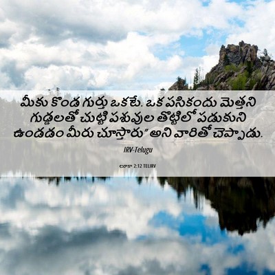 Picture 06 - లూకా 2:12 TELIRV - మీకు కొండ గుర్తు - Bible Verse Picture