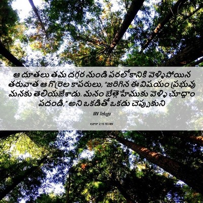 Picture 06 - లూకా 2:15 TELIRV - ఆ దూతలు తమ దగ్గర - Bible Verse Picture
