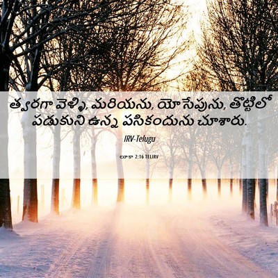 Picture 06 - లూకా 2:16 TELIRV - త్వరగా వెళ్ళి, - Bible Verse Picture