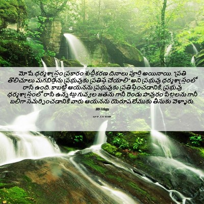 Picture 06 - లూకా 2:22 TELIRV - మోషే ధర్మశాస్త్రం - Bible Verse Picture