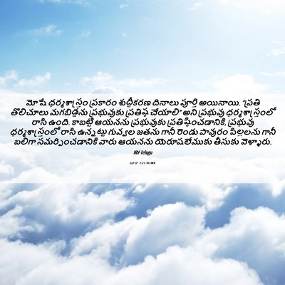 Picture 06 - లూకా 2:23 TELIRV - మోషే ధర్మశాస్త్రం - Bible Verse Picture