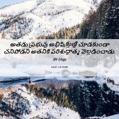 Picture 06 - లూకా 2:26 TELIRV - అతడు ప్రభువు - Bible Verse Picture