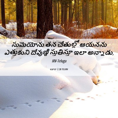 Picture 06 - లూకా 2:28 TELIRV - సుమెయోను తన - Bible Verse Picture