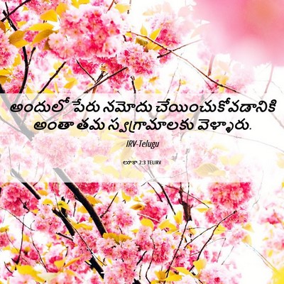 Picture 06 - లూకా 2:3 TELIRV - అందులో పేరు నమోదు - Bible Verse Picture