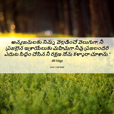 Picture 06 - లూకా 2:30 TELIRV - అన్యజనులకు నిన్ను - Bible Verse Picture