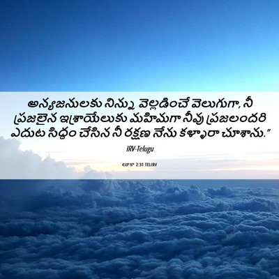 Picture 06 - లూకా 2:31 TELIRV - అన్యజనులకు నిన్ను - Bible Verse Picture