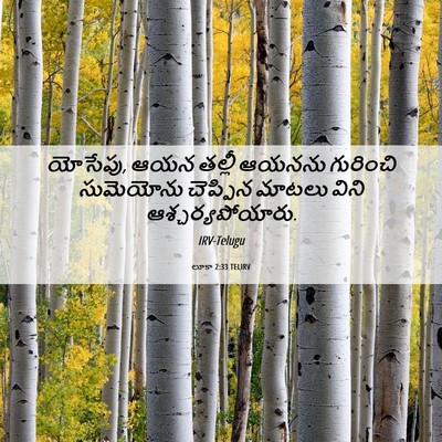 Picture 06 - లూకా 2:33 TELIRV - యోసేపు, ఆయన తల్లీ - Bible Verse Picture
