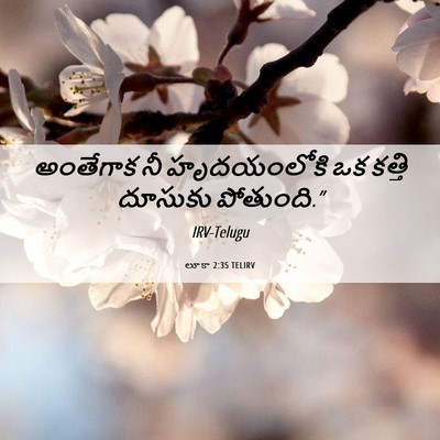 Picture 06 - లూకా 2:35 TELIRV - అంతేగాక నీ - Bible Verse Picture