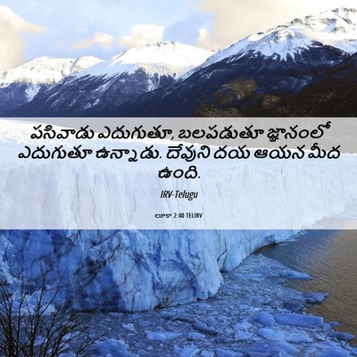Picture 06 - లూకా 2:40 TELIRV - పసివాడు ఎదుగుతూ, - Bible Verse Picture