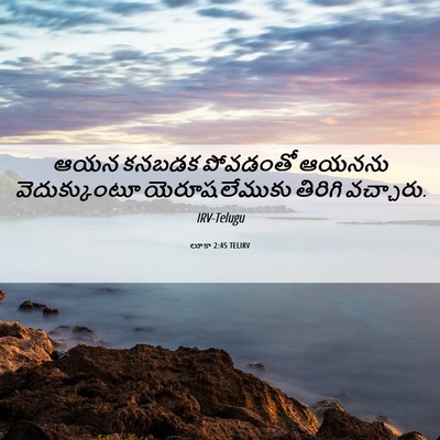 Picture 06 - లూకా 2:45 TELIRV - ఆయన కనబడక పోవడంతో - Bible Verse Picture