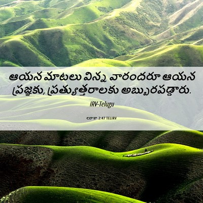 Picture 06 - లూకా 2:47 TELIRV - ఆయన మాటలు విన్న - Bible Verse Picture