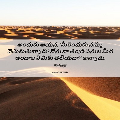 Picture 06 - లూకా 2:49 TELIRV - అందుకు ఆయన, - Bible Verse Picture