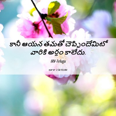 Picture 06 - లూకా 2:50 TELIRV - కానీ ఆయన తమతో - Bible Verse Picture