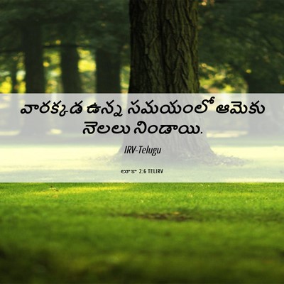 Picture 06 - లూకా 2:6 TELIRV - వారక్కడ ఉన్న - Bible Verse Picture