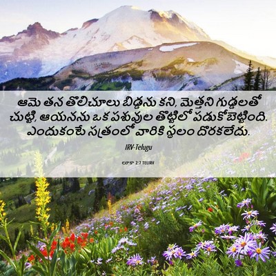 Picture 06 - లూకా 2:7 TELIRV - ఆమె తన తొలిచూలు - Bible Verse Picture